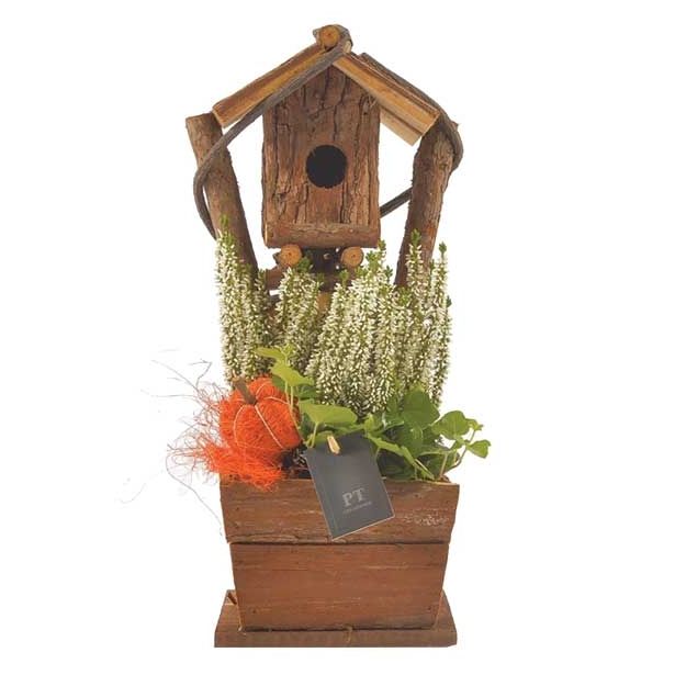 SEZONSKA RASTLINA JESENSKI NASAD V PTIČJI HIŠICI