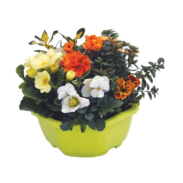 MIX JESENSKIH RASTLIN NASAD L20