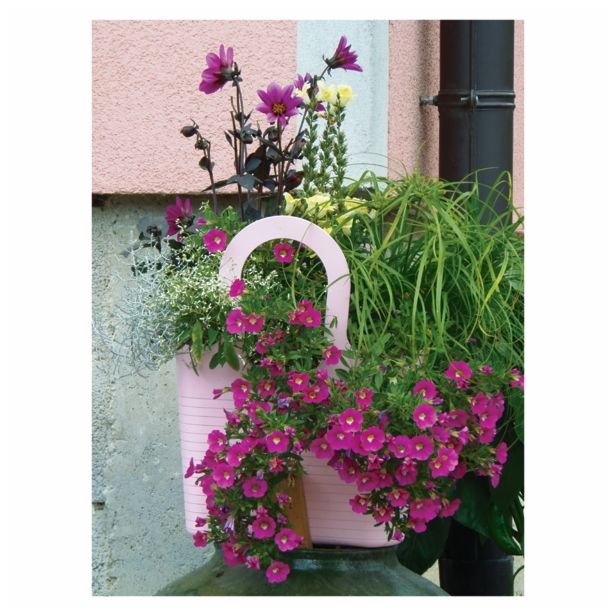 DALIJA VOLMARY X HORTENSIS LUBEGA L12