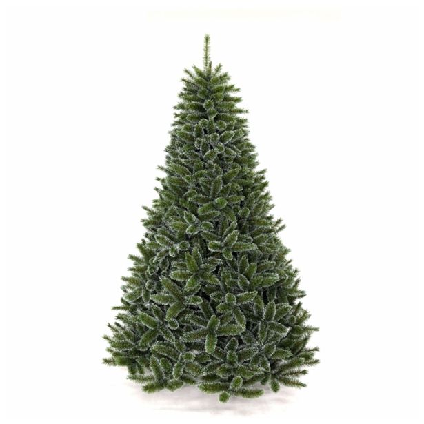 JELKA SIBERIAN SPRUCE 215 CM BOR