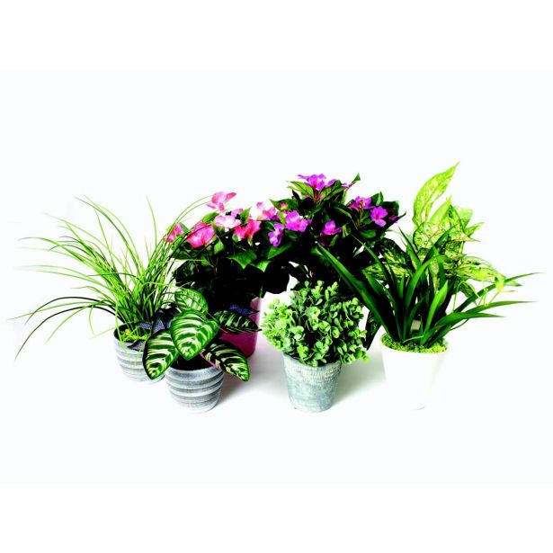 UMETNA LONČNICA SINGONIJ V LONČKU