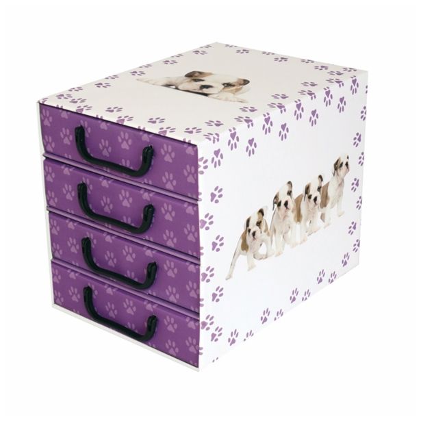 ŠKATLA/ZABOJ MISSSPACE PREDALNIK ZA SHRANJEVANJE S ŠTIRIMI PREDALI