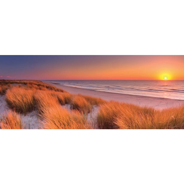 SLIKA BIVA SONČNI ZAHOD 40X100 CM PRINT