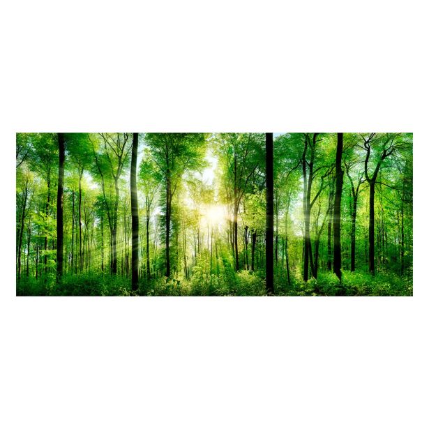 SLIKA STYLER SUNLIGHT STEKLENA 50X125 EX121