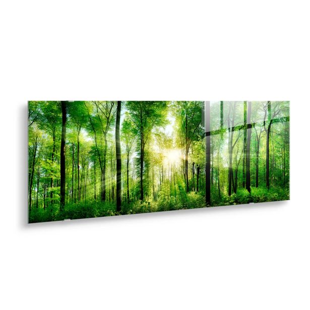 SLIKA STYLER SUNLIGHT STEKLENA 50X125 EX121