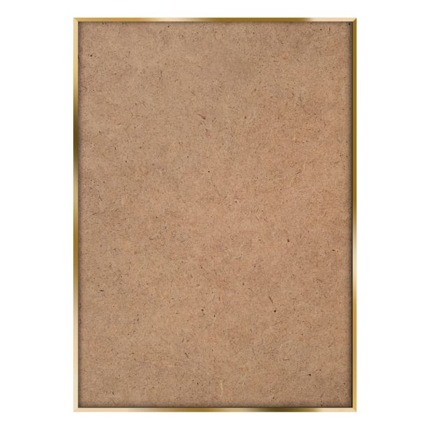 SLIKA STYLER GREEN HERON Z OKVIRJEM 50X70 AB234