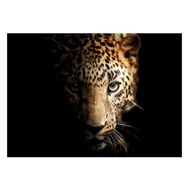 SLIKA STYLER LEOPARD STEKLENA 70X100 GL246