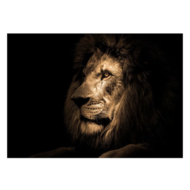 SLIKA STYLER LION STEKLENA 70X100 GL247