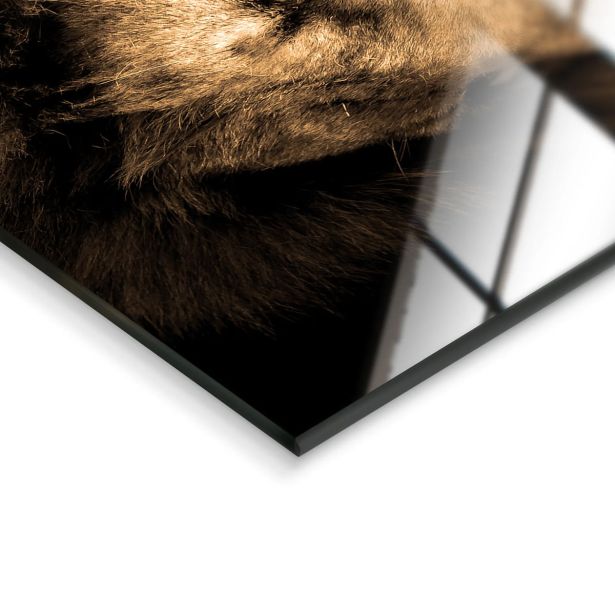 SLIKA STYLER LION STEKLENA 70X100 GL247