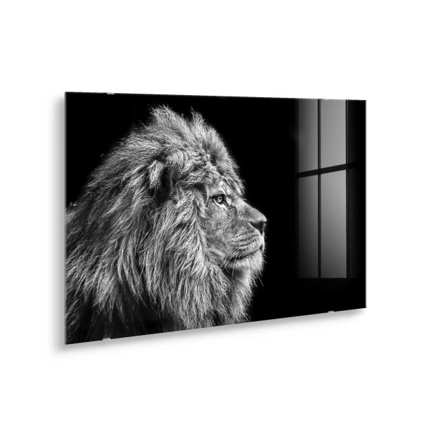 SLIKA STYLER LION SILVER STEKLENA 70X100 GL104