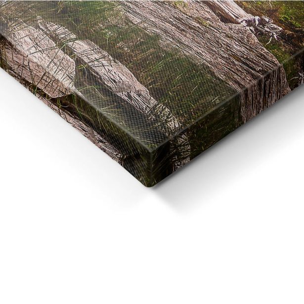 SLIKA STYLER PLATNO ALBERTA PARK 60X150 ST708