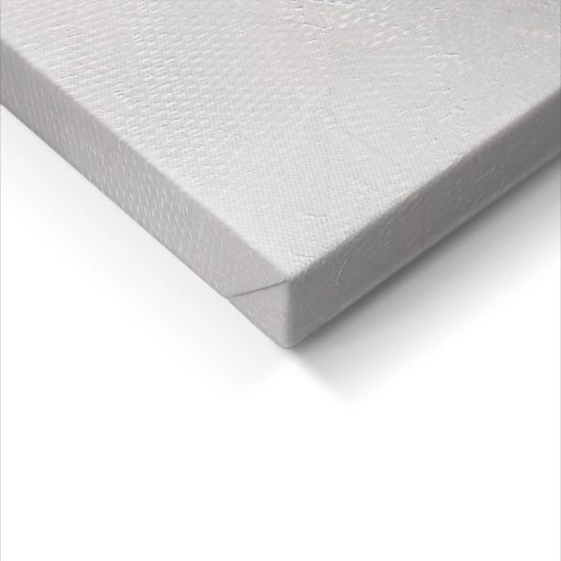 SLIKA STYLER PLATNO WHITE FLOWERS 60X80 ST616