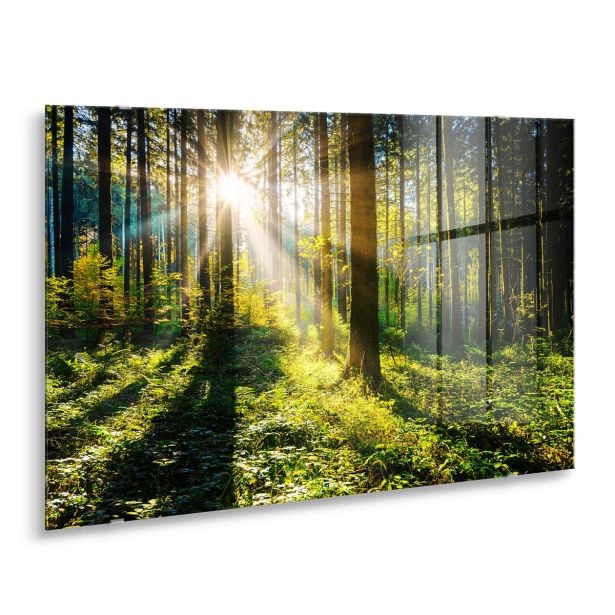 SLIKA STYLER SUNNY FORREST STEKLENA 80X120 GL404