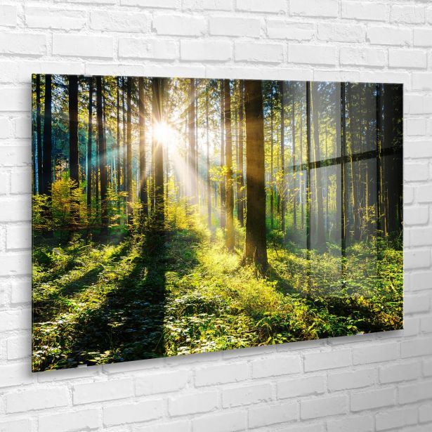 SLIKA STYLER SUNNY FORREST STEKLENA 80X120 GL404
