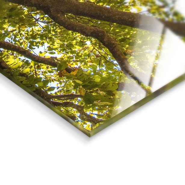 SLIKA STYLER SUNNY FORREST STEKLENA 80X120 GL404