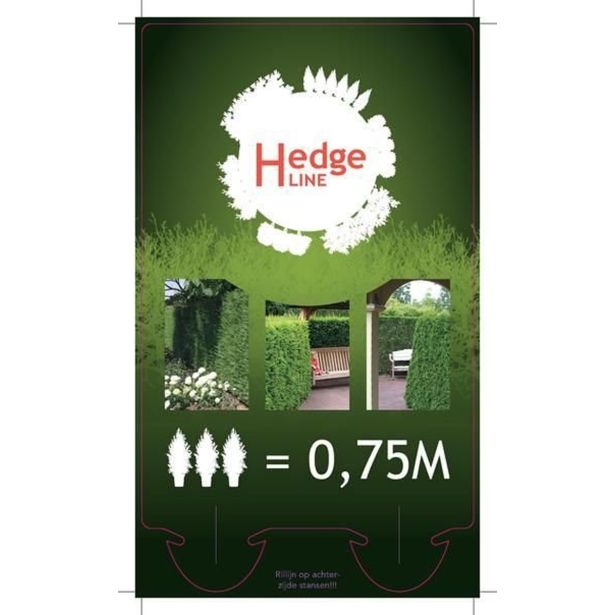 TUJA SMARAGDNI KLEK L21