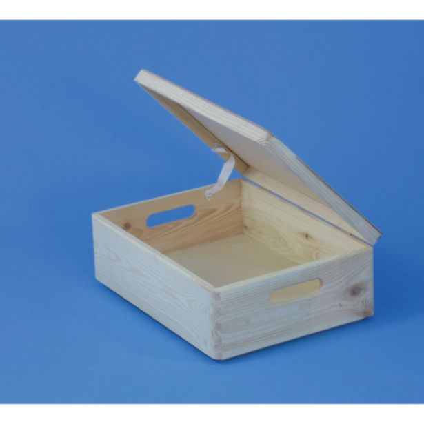 LESEN ZABOJ JEWE SMREKA 40X30X23 CM S POKROVOM, NELAKIRAN