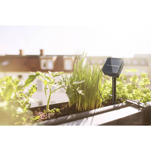 SOLARNA VRTNA SVETILKA PAULMANN LED TRAK 3M RGBY