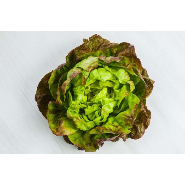 LISTNA ZELENJAVA L'ORTO FRUTTIFERO SOLATA 4 LETNI ČASI 8/1 MATRIOSKA KULTIPAK