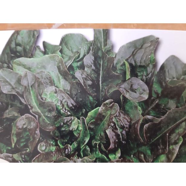 LISTNA ZELENJAVA L'ORTO FRUTTIFERO SOLATA 8/1 BERENICE KULTIPAK