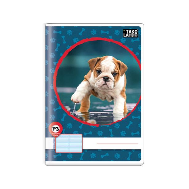 ŠOLSKI ZVEZEK TAKO LAHKO A4 P3 40L LATAJN