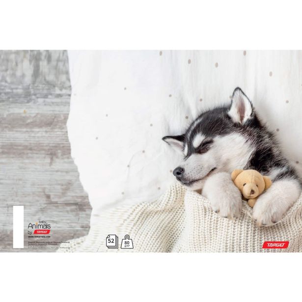 ŠOLSKI ZVEZEK TARGET A4 ČRTAST BREZ ROBA ANIMAL BABY 26416