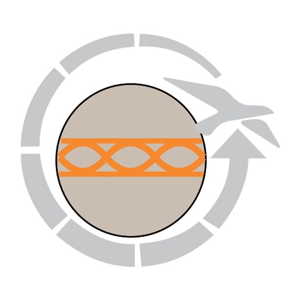 SPALNA VREČA EASY CAMP NEBULA 250 220X80X50 CM