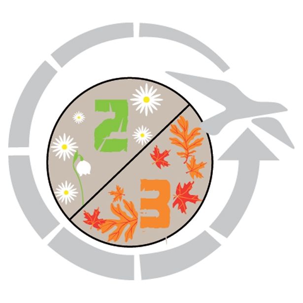 SPALNA VREČA EASY CAMP NEBULA 250 220X80X50 CM