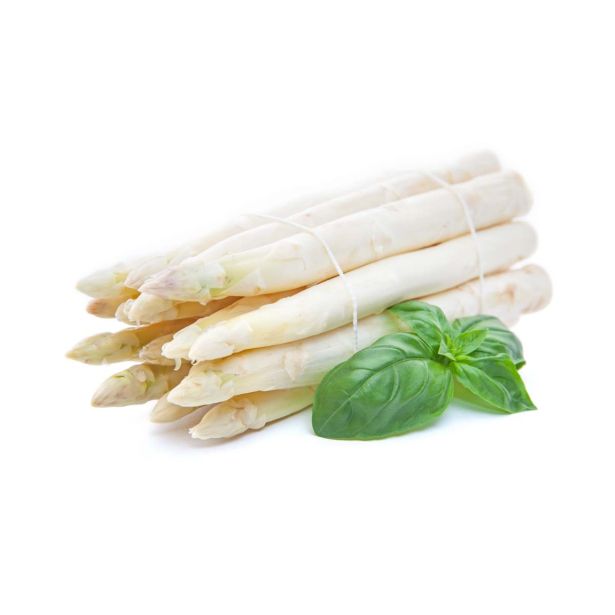 ZELENJAVNA SADIKA L'ORTO FRUTTIFERO ŠPARGELJ 1/1 PRECOCE DARGENTUIL L10