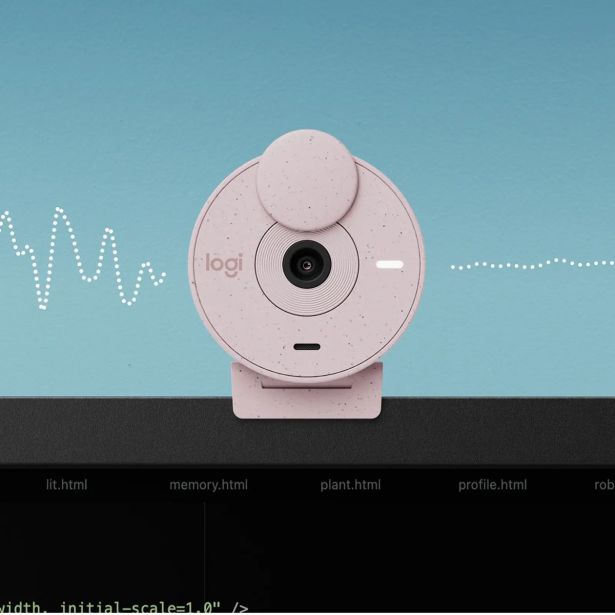 SPLETNA KAMERA LOGITECH BRIO 300, ROZA
