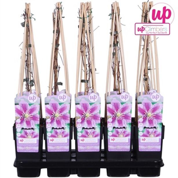 VZPENJALKA SROBOT 'PIILU' L15