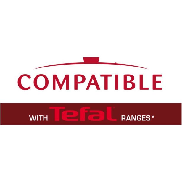 POKROVKA TEFAL 24 CM STEKLENA