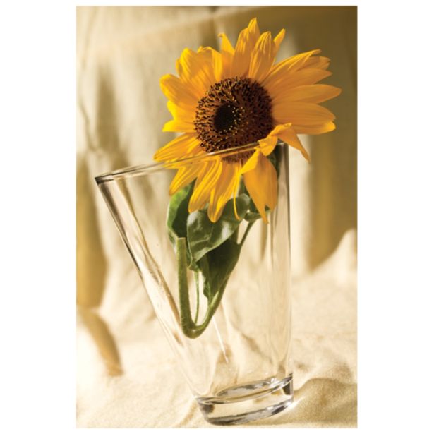 STEKLENA VAZA STEKLARNA HRASTNIK CONIC 12.5X17 CM