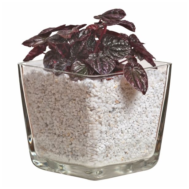 STEKLENA VAZA STEKLARNA HRASTNIK QUBE 15X14.5 CM