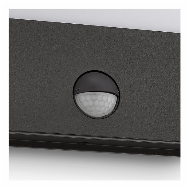 SENZORSKO SVETILO PHILIPS RACCON 1X3W S SENZORJEM ANTRACIT, LED