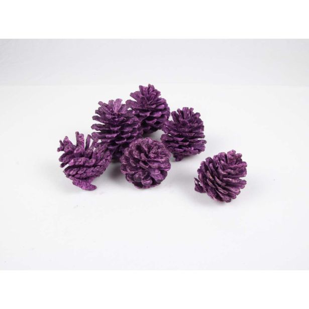 UMETNO CVETJE STORŽI PINJE BARVANI 6 KOS