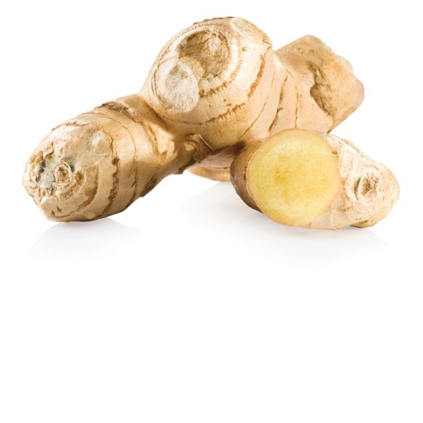 STRGALO TESCOMA STRGALO S POSODO