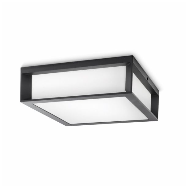 STROPNA VRTNA SVETILKA PHILIPS SKIES 2X14W E27 17184/93/16 ANTRACIT