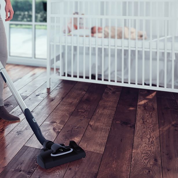 SUHI SESALNIK ELECTROLUX EUS 8X 2DB