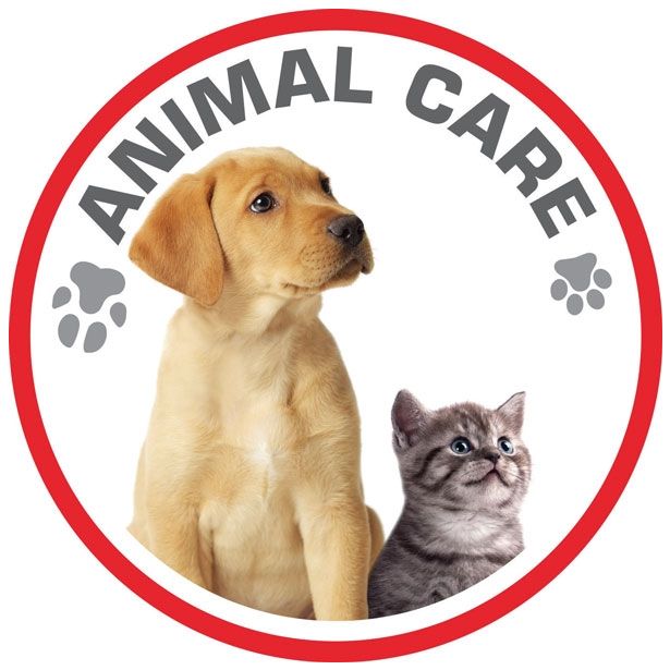 SUHI SESALNIK ROWENTA RO 8370 EA MULTI CYCLONIC