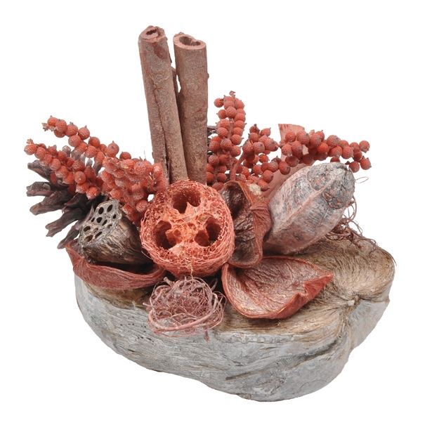 SUHO CVETJE DAR ARANŽMA V KOKOS LUPINI RDEČ ALI ORANŽEN