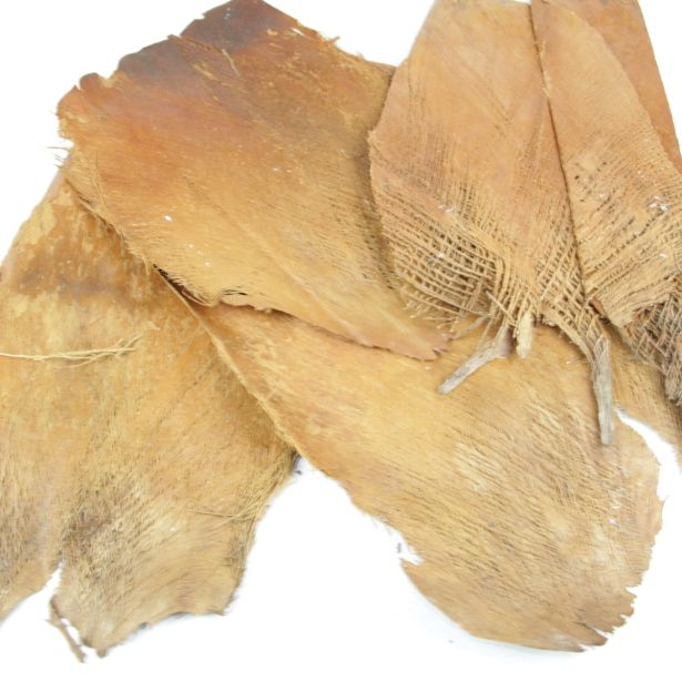 UMETNO CVETJE PALMINA SKORJA BELJENA BARVANA