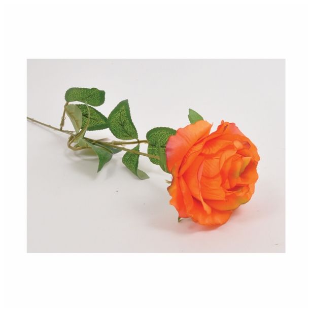 SUHO CVETJE VRTNICA ENOJNA ORANŽNA