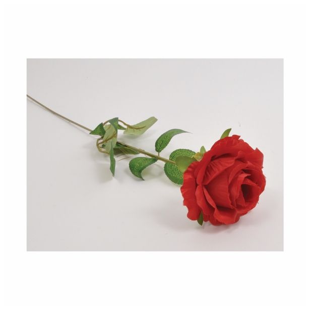 SUHO CVETJE VRTNICA ENOJNA RDEČA