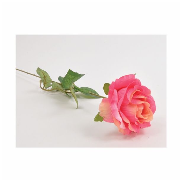 SUHO CVETJE VRTNICA ENOJNA ROZA