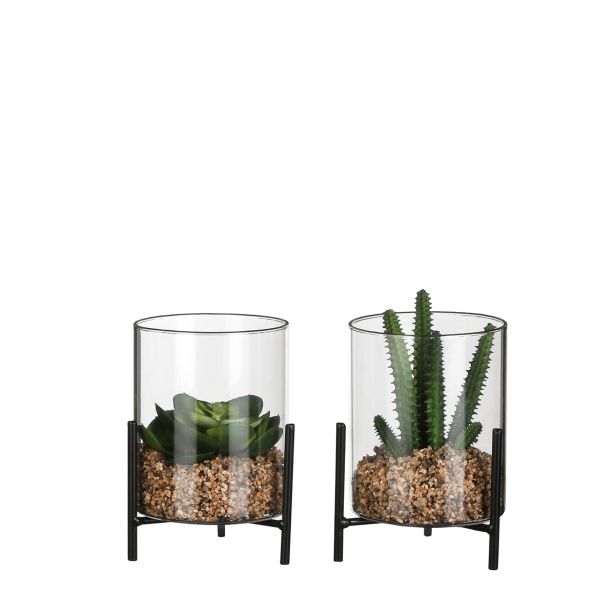 KERAMIČNI NOTRANJI LONEC MICA SUKULENT V STEKLU V15XD13CM