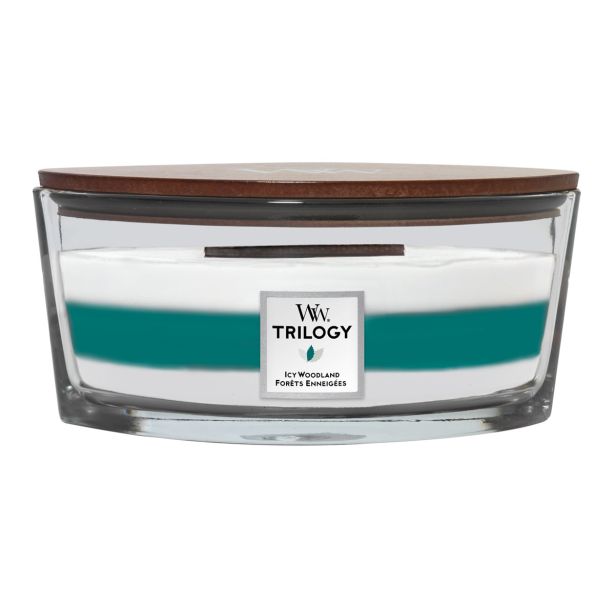 SVEČA V KOZARCU WOODWICK TRILOGY ELIPSE ICY WOODLAND