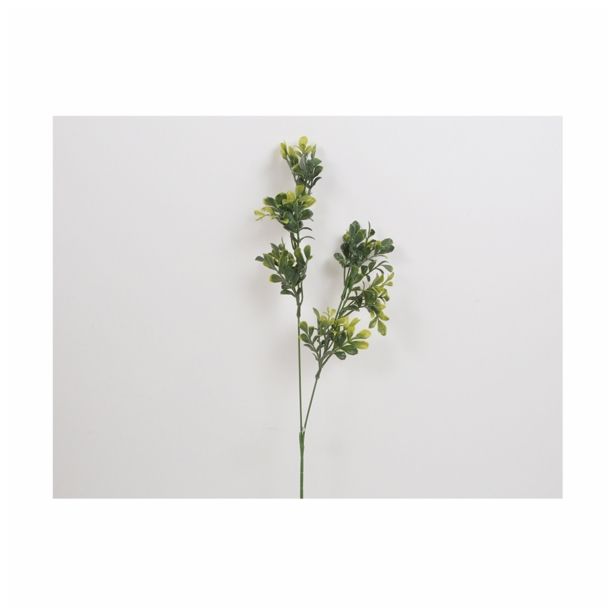 SVILENO CVETJE DAR VEJICA ZELENJA X 2