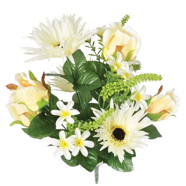 SVILENO CVETJE DAR VRTNICA, MARJETICA ŠOPEK X11 KREM