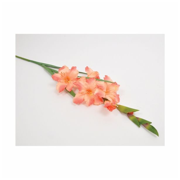 SVILENO CVETJE GLADIOLA ENOJNA SALMON